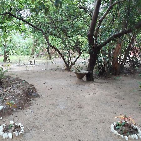 Bed and Breakfast Little Baobab Abeme Экстерьер фото