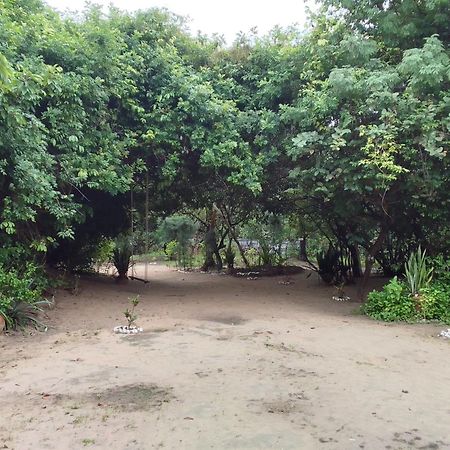 Bed and Breakfast Little Baobab Abeme Экстерьер фото