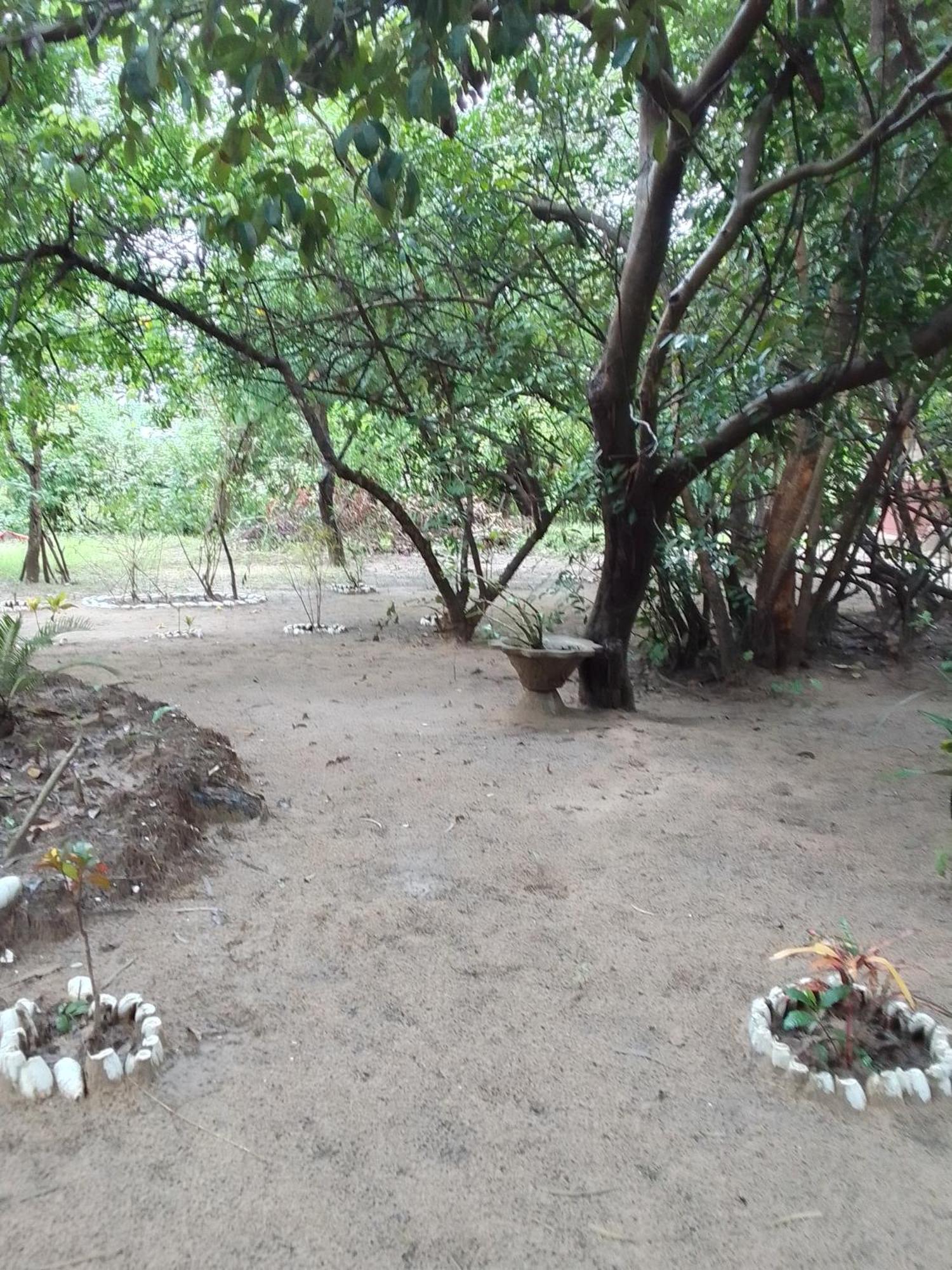 Bed and Breakfast Little Baobab Abeme Экстерьер фото