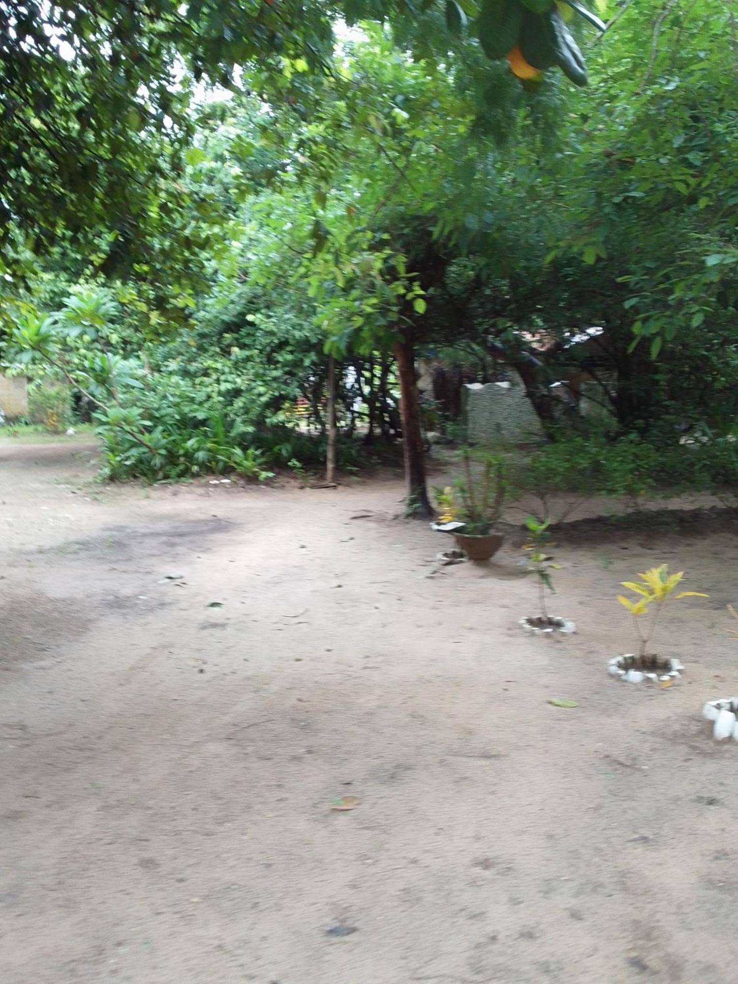 Bed and Breakfast Little Baobab Abeme Экстерьер фото
