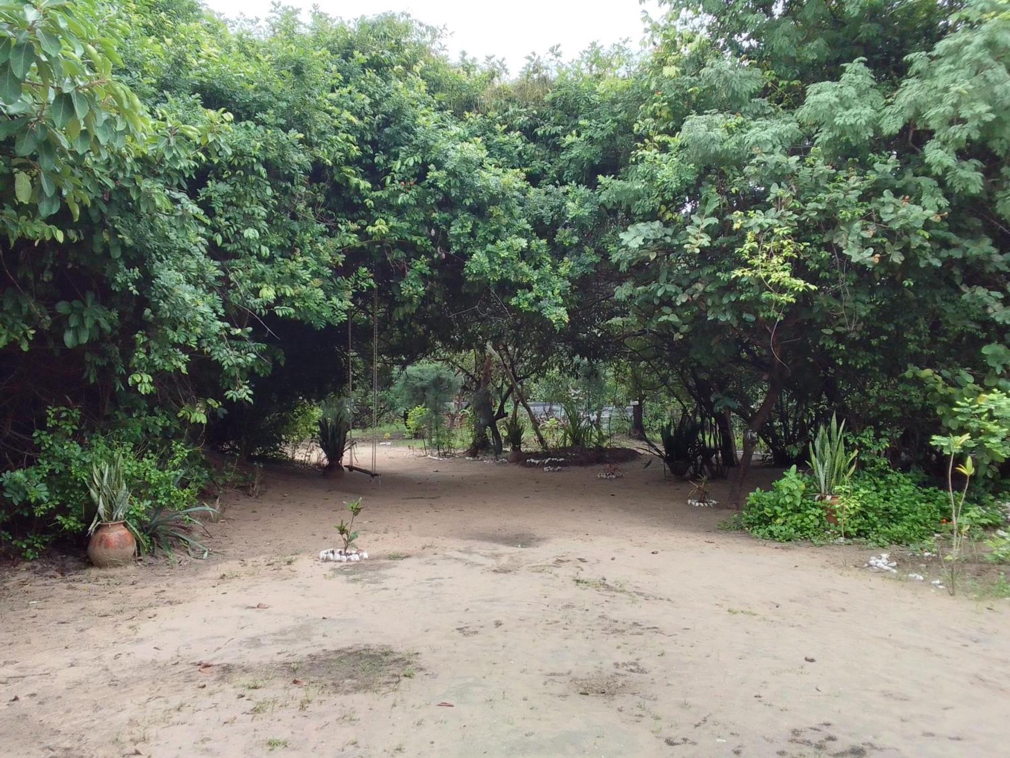 Bed and Breakfast Little Baobab Abeme Экстерьер фото