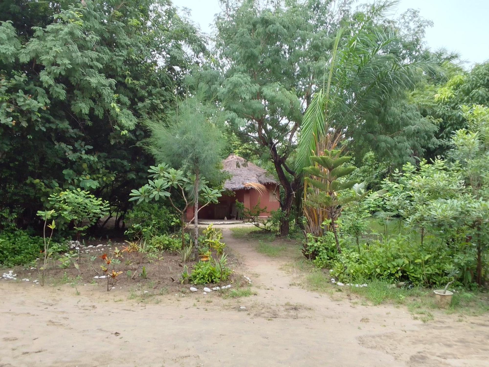 Bed and Breakfast Little Baobab Abeme Экстерьер фото